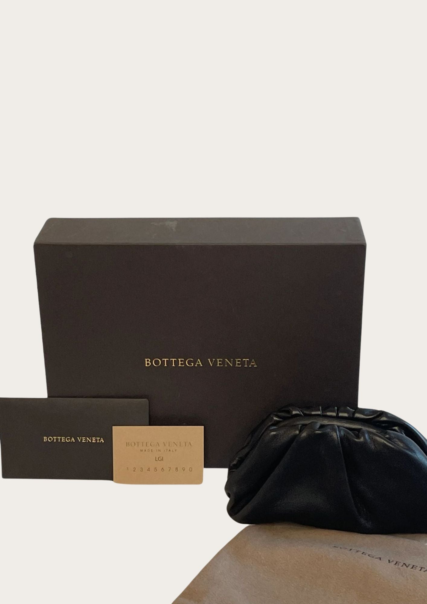 Bottega Veneta mini pouch