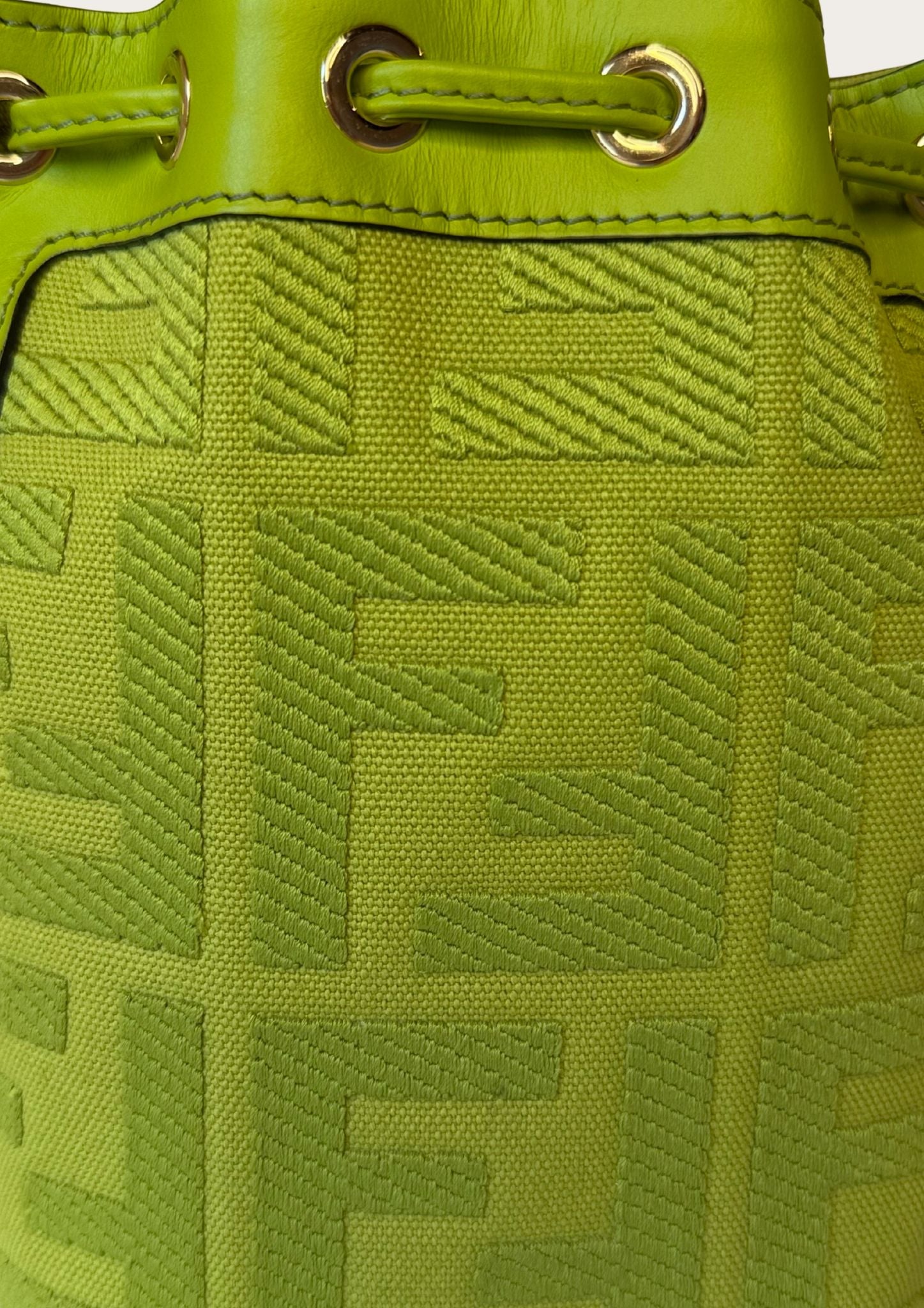 Authentic Fendi Mon Trésor Mini Bucket Bag in green canvas with leather details